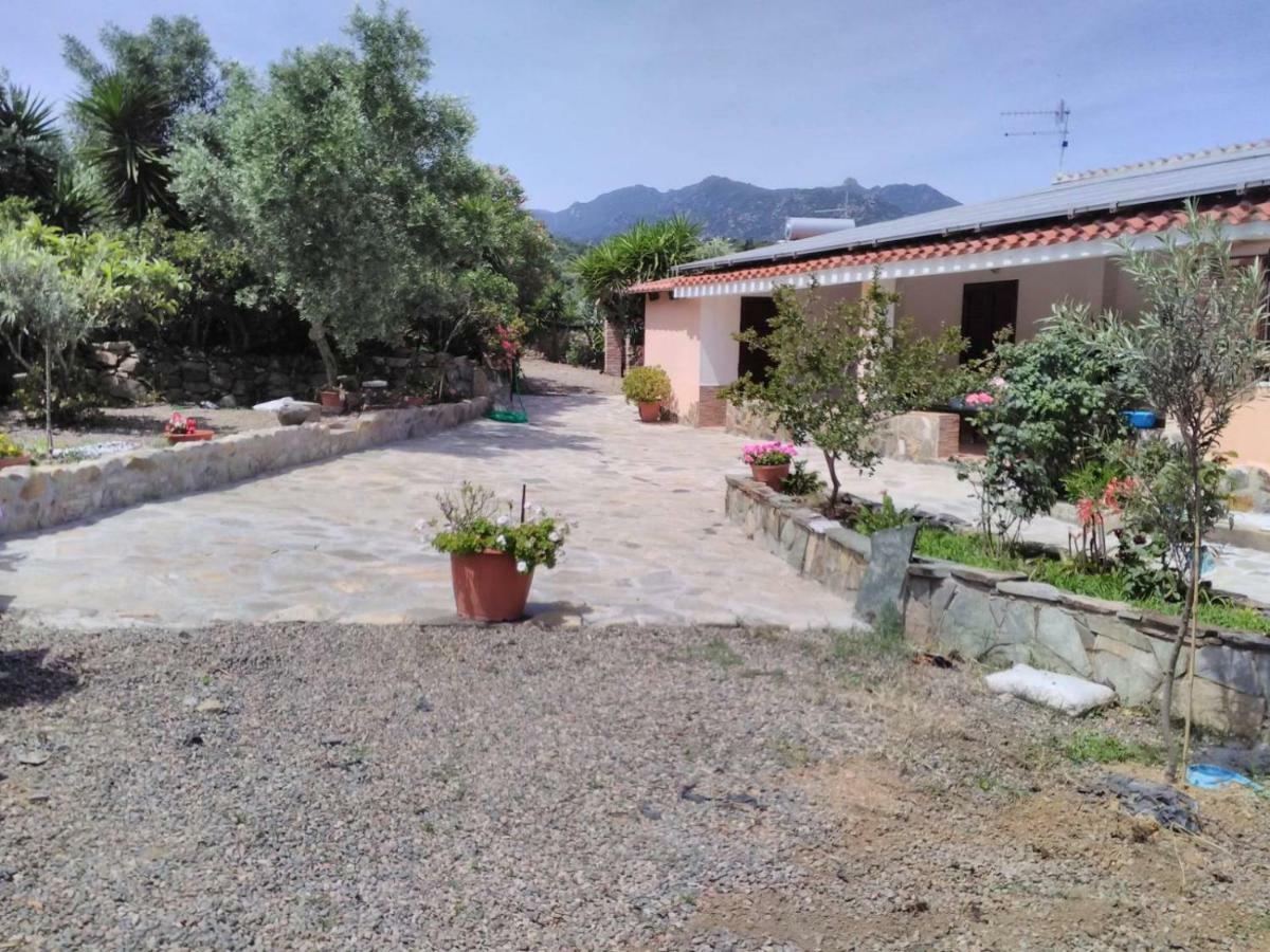 Agriturismo Camboni Villa Annunziata  Esterno foto